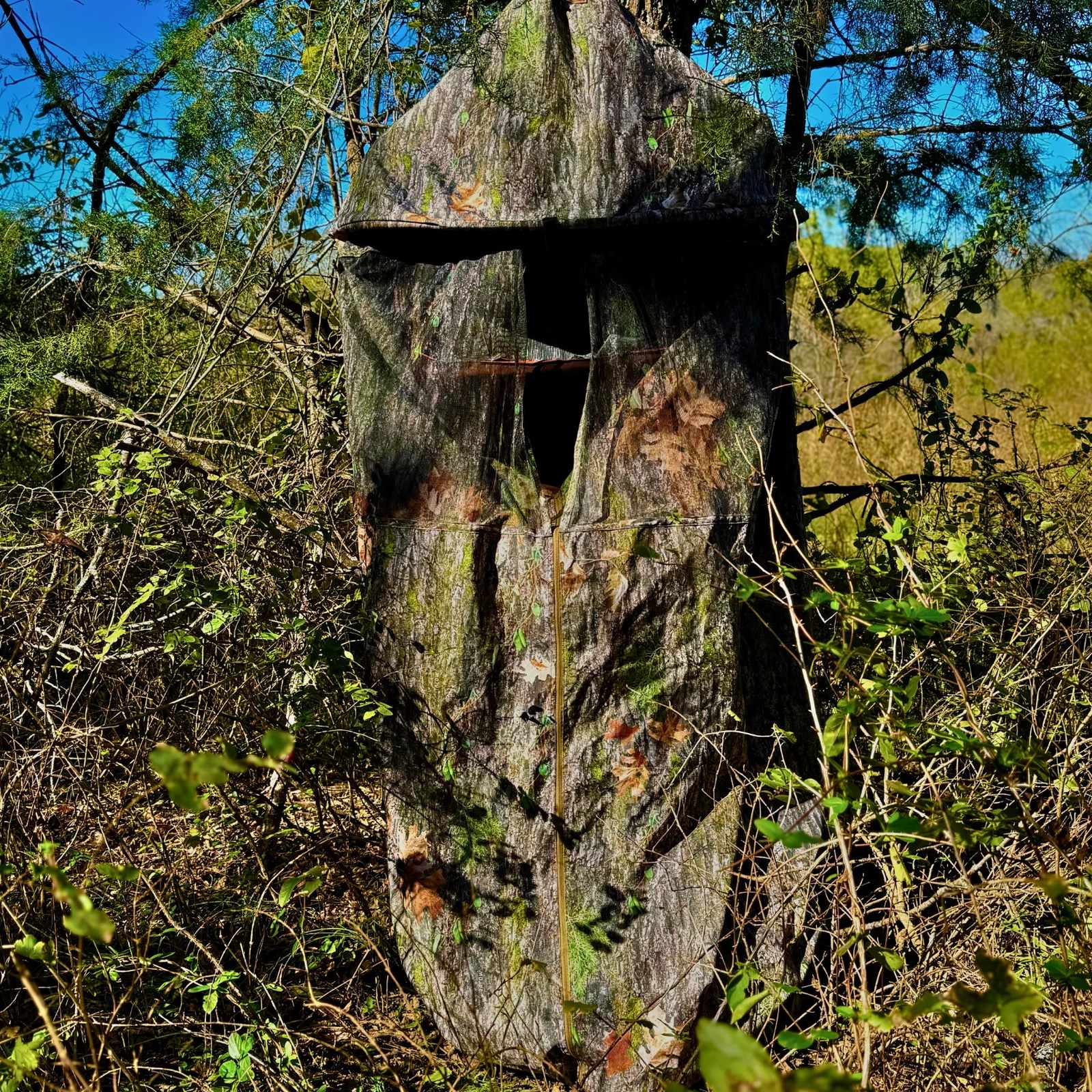 Cocoon