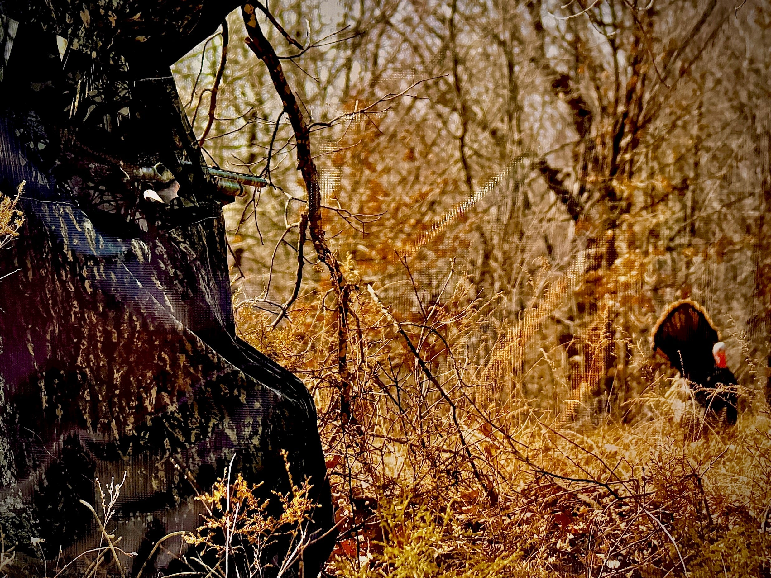 Ground Hunting vs Tree Stand Hunting