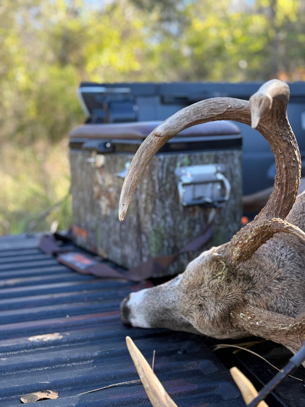 Steel-Belted Cooler by Treow Outdoors